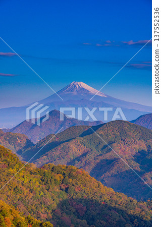 （靜岡縣）深秋時節從葛城山眺望富士山 137552536