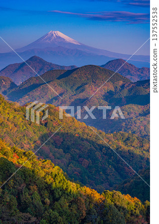 (Shizuoka Prefecture) Mount Fuji from Mount Katsuragi in late autumn 137552538