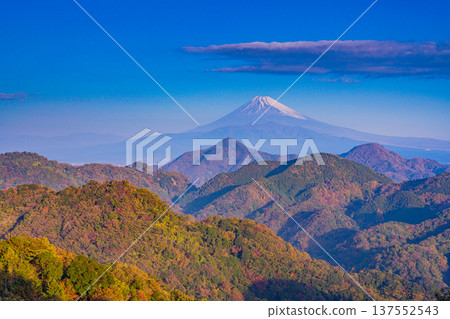 (Shizuoka Prefecture) Mount Fuji from Mount Katsuragi in late autumn (Shizuoka Prefecture) Mount Fuji from Mount Katsuragi in late autumn 137552543