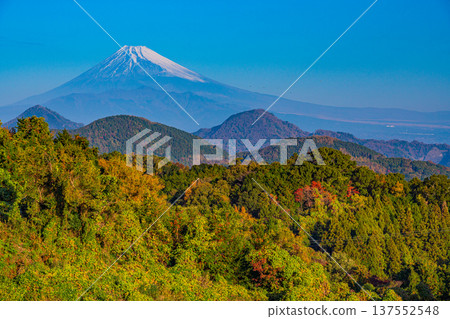 (Shizuoka Prefecture) Mount Fuji from Mount Katsuragi in late autumn (Shizuoka Prefecture) Mount Fuji from Mount Katsuragi in late autumn 137552548