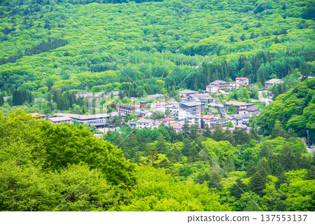 Hirayu Onsen town surrounded by fresh greenery (Okuhida Onsenkyo, Takayama City, Gifu Prefecture) Hirayu Onsen town surrounded by fresh greenery (Okuhida Onsenkyo, Takayama City, Gifu Prefecture) 137553137