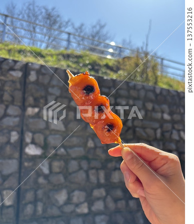 Mitarashi dango in the sunshine 137553216