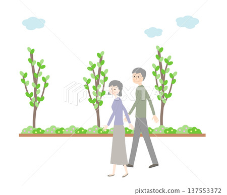 Senior couple taking a walk 137553372