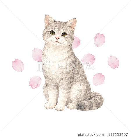 Watercolor illustration of cherry blossom petals and cats. Cute spring cat material. Watercolor illustration of cherry blossom petals and cats. Cute spring cat material. 137553407