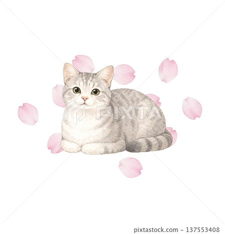Watercolor illustration of cherry blossom petals and cats. Cute spring cat material. Watercolor illustration of cherry blossom petals and cats. Cute spring cat material. 137553408