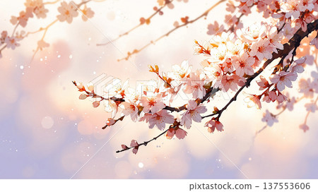Sakura illustration design Sakura illustration design 137553606