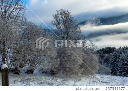 Looking out over the meadow to the valley Looking out over the meadow to the valley 137553677