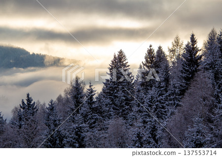 Sunrise makes a breakthrough in the mist between the mountains 137553714