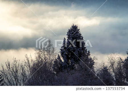 Sunrise makes a breakthrough in the mist between the mountains Sunrise makes a breakthrough in the mist between the mountains 137553734