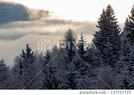 Sunrise makes a breakthrough in the mist between the mountains Sunrise makes a breakthrough in the mist between the mountains 137553735