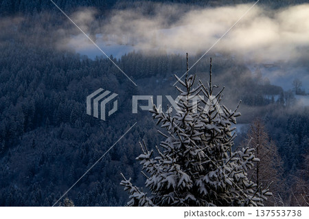 Looking out over the snowcapped valley in the golden hour 137553738