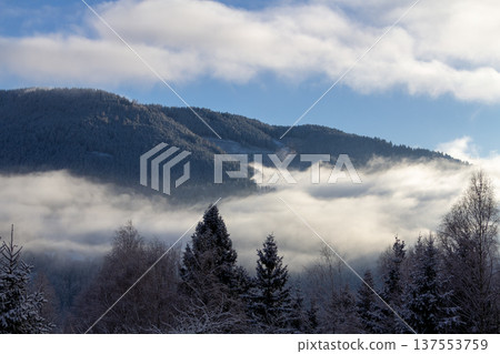 Looking out over the valley during sunrise Looking out over the valley during sunrise 137553759