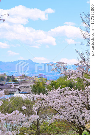View of the Tone River from the Yase Ruins, cherry blossoms in full bloom, and Mount Akagi, Minakami Town, Gunma Prefecture View of the Tone River from the Yase Ruins, cherry blossoms in full bloom, and Mount Akagi, Minakami Town, Gunma Prefecture 137553800