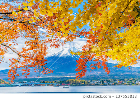 Autumnal leaves on Mt. Kawaguchiko and Mt. Fuji 137553818