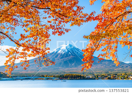 在Mt. Kawaguchiko和富士山的秋季葉子 137553821