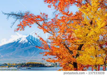 Autumnal leaves on Mt. Kawaguchiko and Mt. Fuji 137553839