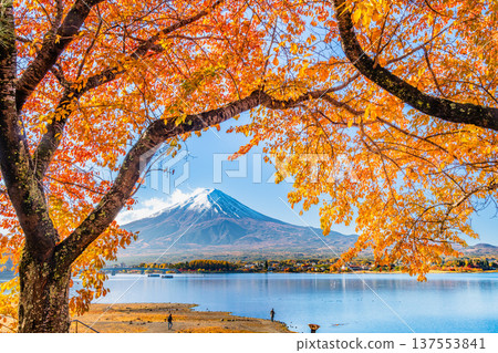在Mt. Kawaguchiko和富士山的秋季葉子 在Mt. Kawaguchiko和富士山的秋季葉子 137553841