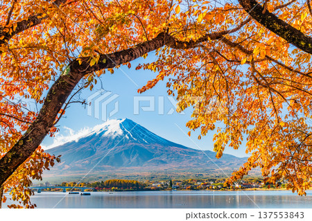 Autumnal leaves on Mt. Kawaguchiko and Mt. Fuji 137553843