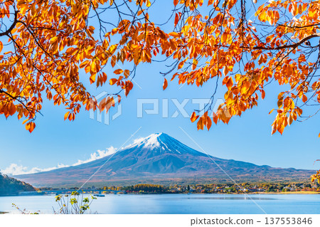 在Mt. Kawaguchiko和富士山的秋季葉子 在Mt. Kawaguchiko和富士山的秋季葉子 137553846