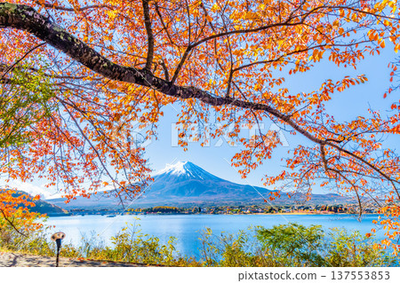在Mt. Kawaguchiko和富士山的秋季葉子 在Mt. Kawaguchiko和富士山的秋季葉子 137553853