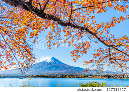在Mt. Kawaguchiko和富士山的秋季葉子 137553857