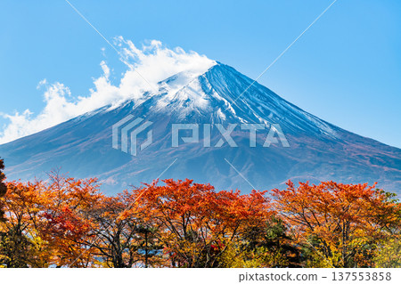 Autumnal leaves on Mt. Kawaguchiko and Mt. Fuji 137553858
