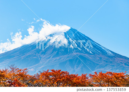 在Mt. Kawaguchiko和富士山的秋季葉子 137553859