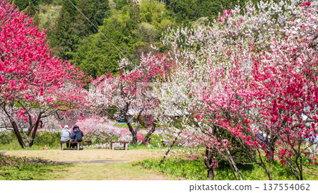 Achi Village, Hanamomo Village Achi Village, Hanamomo Village 137554062