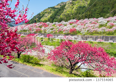 Achi Village, Hanamomo Village Achi Village, Hanamomo Village 137554065