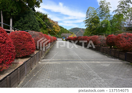 Aikawa Park entrance Aikawa Park entrance 137554075