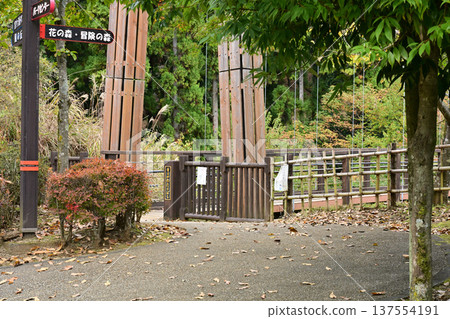 相川公園森之渡橋 137554191