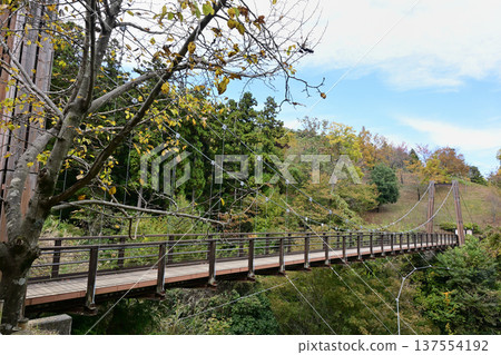 Aikawa Park Morinowatari Bridge Aikawa Park Morinowatari Bridge 137554192