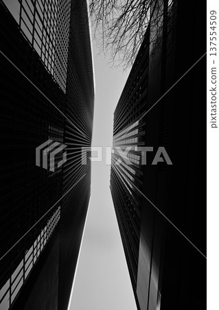 城市建築仰望摩天大樓間的山谷 137554509