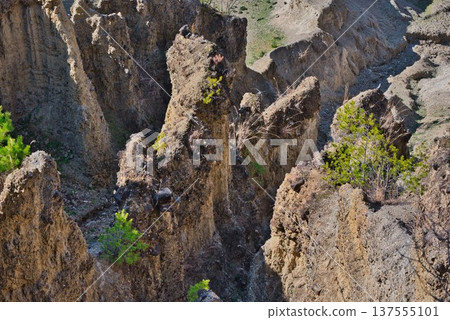 "Awa Earth Pillars" in Awa City, Tokushima Prefecture "Awa Earth Pillars" in Awa City, Tokushima Prefecture 137555101