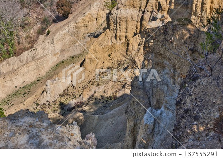 德島縣阿波市的“阿波地柱” 德島縣阿波市的“阿波地柱” 137555291