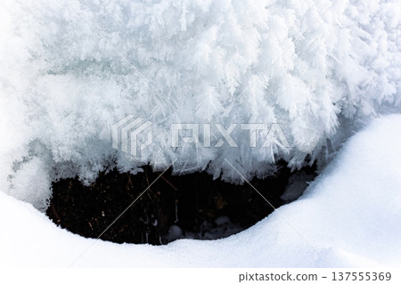 Majestic hoarfrost crystals adorn a winter stream bank. Delicate white icy formations sparkle, contrasting with the dark recess and soft snow foreground. A chilly nature scene Majestic hoarfrost crystals adorn a winter stream bank. Delicate white icy formations sparkle, contrasting with the dark recess and soft snow foreground. A chilly nature scene 137555369