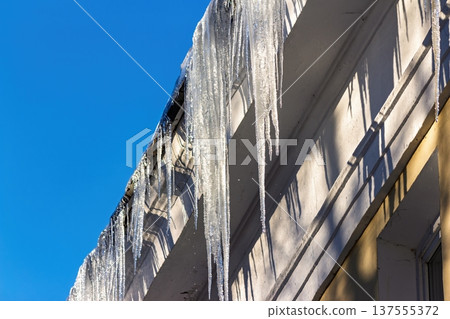 Glittering icicles dangle from a building cornice against a brilliant azure sky, suggesting a thaw during late winter or early spring  137555372
