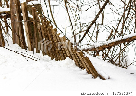 Rustic wooden fence half-buried in pristine winter snow. Bare skeletal branches add a touch of desolation to this tranquil, frosty landscape 137555374