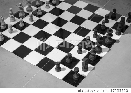 Chess pieces stand ready for a match on the board 137555520