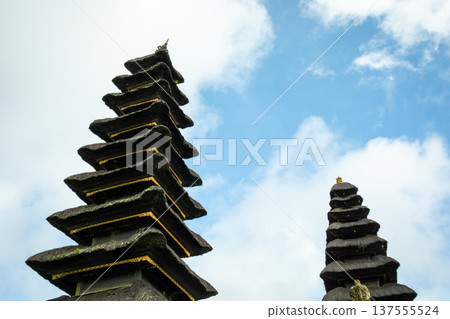 View of two temple structures reaching towards the sky 137555524
