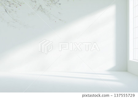 窗光、植物陰影、白牆背景、照片 137555729