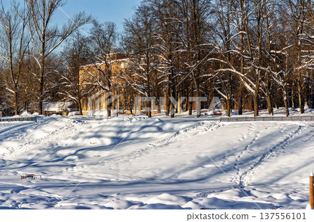 Sunny winter park scene with snow-covered ground and bare trees partially obscuring a distant yellow building facade Sunny winter park scene with snow-covered ground and bare trees partially obscuring a distant yellow building facade 137556101