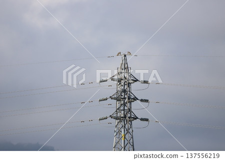 一座輸電塔高聳於陰雲密佈的天空之上。 一座輸電塔高聳於陰雲密佈的天空之上。 137556219