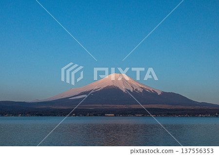 Snow-capped Mount Fuji seen from Lake Yamanaka early in the morning in spring 137556353