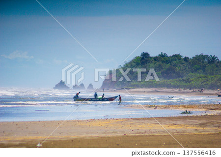 Beautiful morning view indonesia Panorama Landscape paddy fields with beauty color and sky natural light Beautiful morning view indonesia Panorama Landscape paddy fields with beauty color and sky natural light 137556416