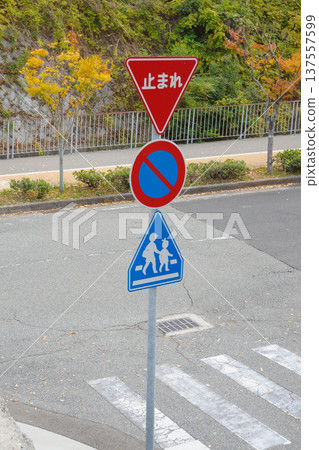 道路標誌(停車、禁止停車、安全區) 道路標誌(停車、禁止停車、安全區) 137557599