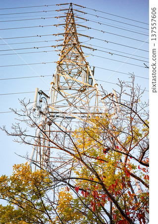 Power line tower and autumn leaves Power line tower and autumn leaves 137557606
