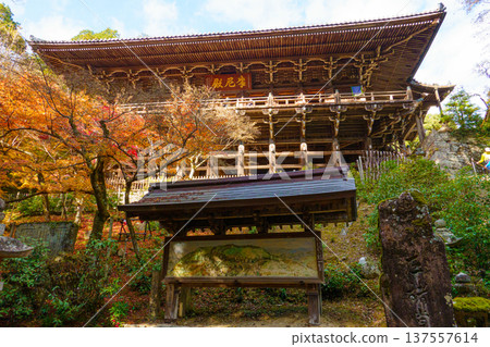 Autumn in the Maniden Hall of Shoshazan Engyo-ji Temple in Himeji, Hyogo Prefecture Autumn in the Maniden Hall of Shoshazan Engyo-ji Temple in Himeji, Hyogo Prefecture 137557614