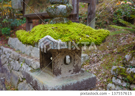 Moss-covered stone lantern at Shoshazan Engyo-ji Temple in Himeji, Hyogo Prefecture in autumn Moss-covered stone lantern at Shoshazan Engyo-ji Temple in Himeji, Hyogo Prefecture in autumn 137557615