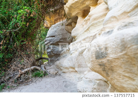 Magnificent Rock Formations in Cyprus Rugged Beauty of the Coastal Landscape, Paphos area, Cyprus. 137557715